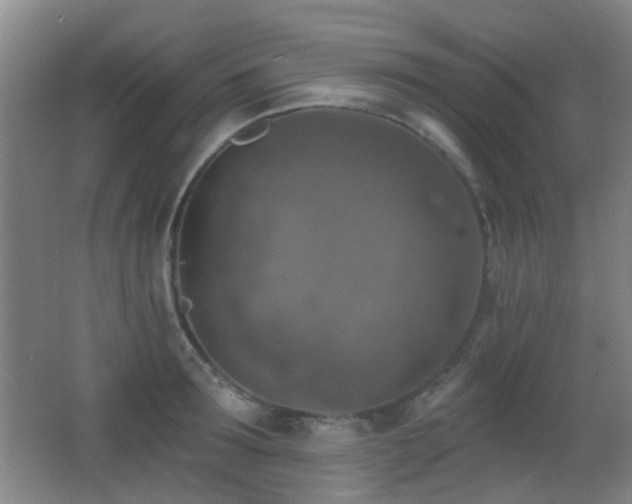 X0000066970899200603241207