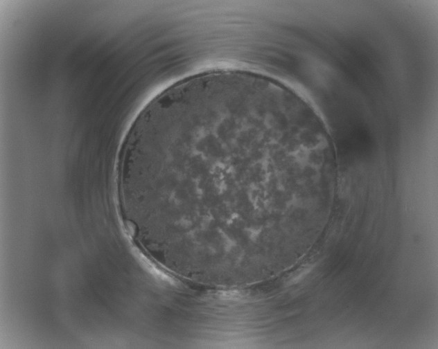 X0000066970903200603241207