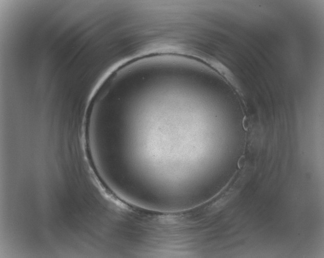 X0000066970904200603241207