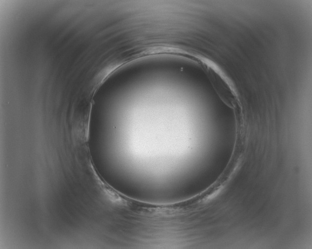 X0000066970905200603241207