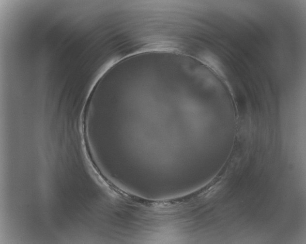 X0000066970907200603241207