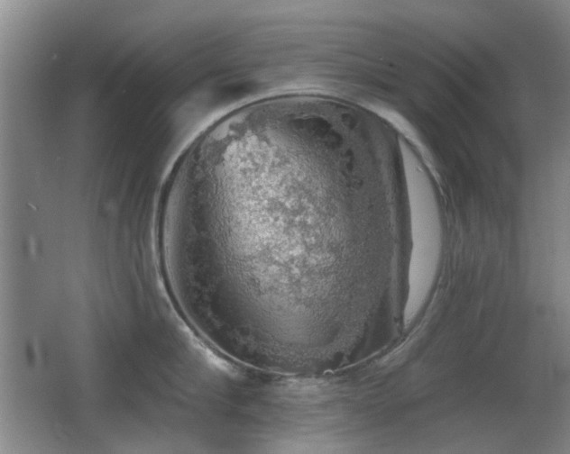 X0000066970910200603241207