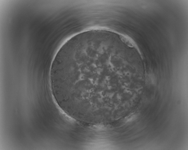 X0000066970911200603241207