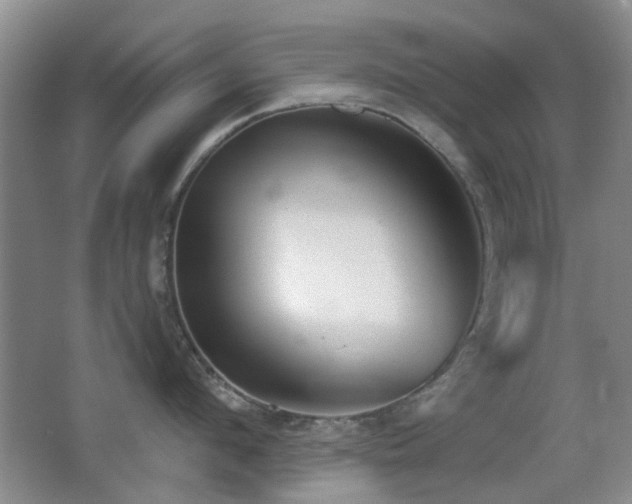 X0000066970912200603241207