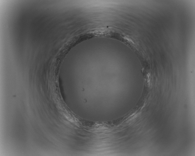 X0000066970913200603241206