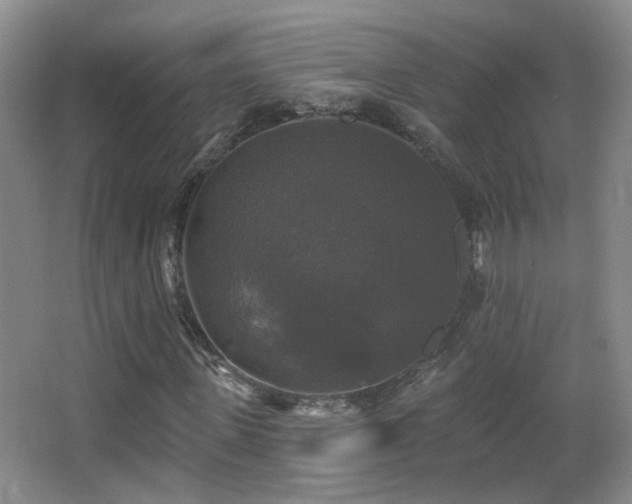 X0000066970915200603241206