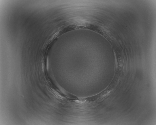 X0000066970916200603241206