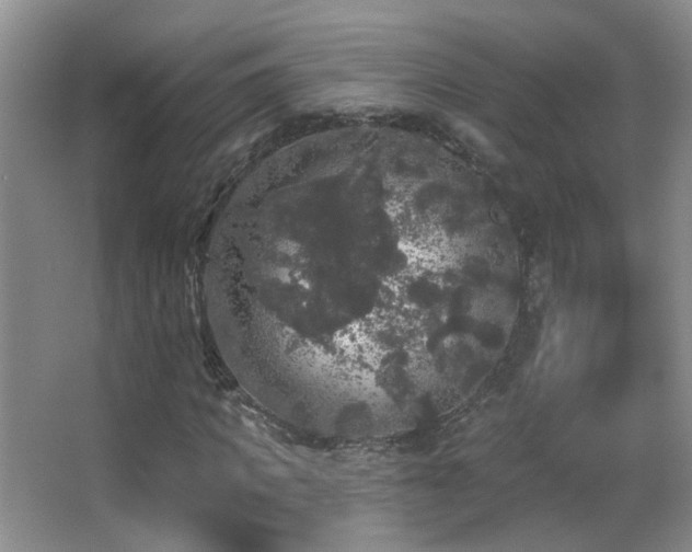 X0000066970917200603241206