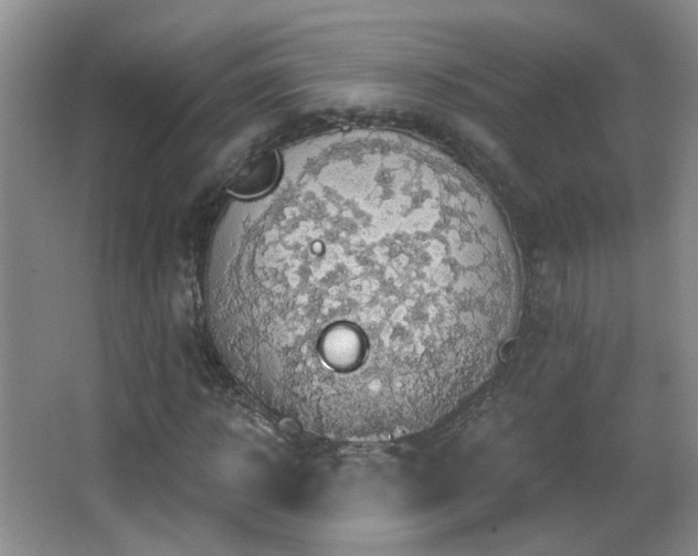 X0000066970918200603241206