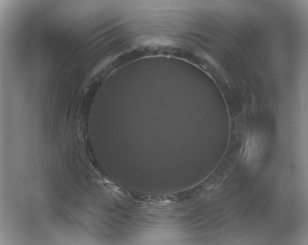 X0000066970919200603241206