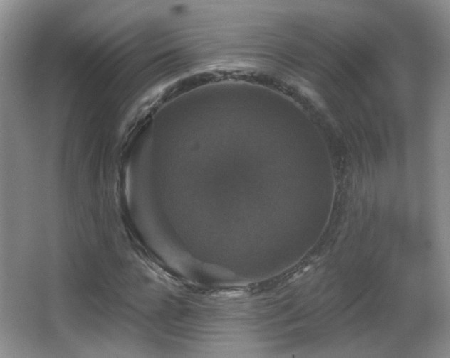 X0000066970920200603241206