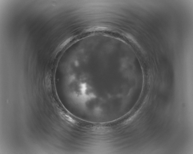 X0000066970921200603241206