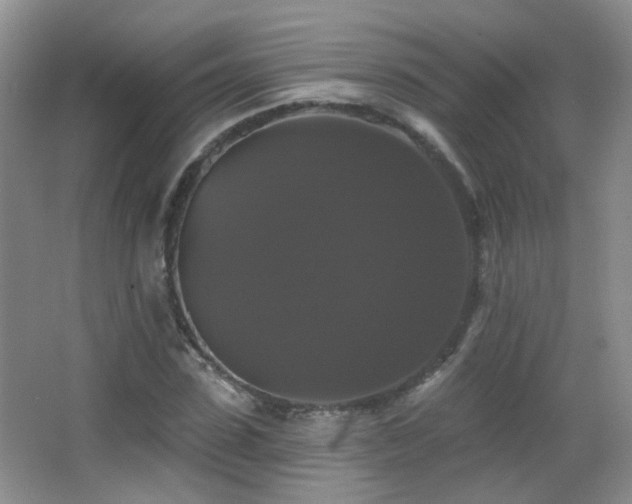 X0000066970923200603241206