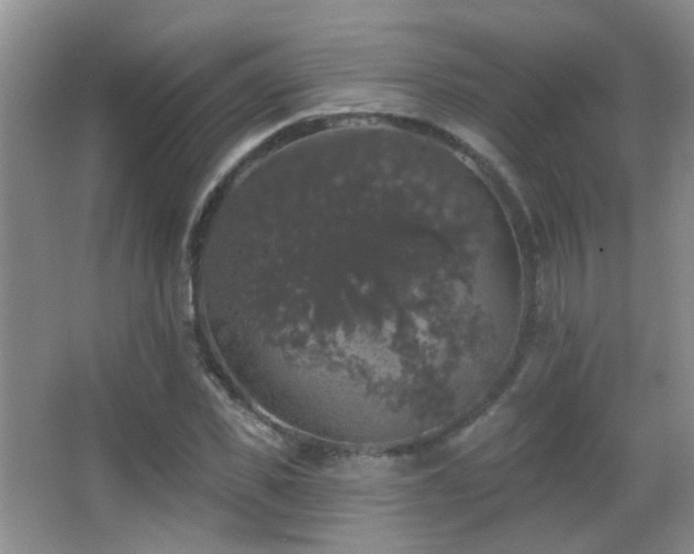 X0000066970925200603241206