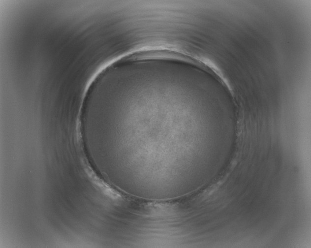 X0000066970928200603241206