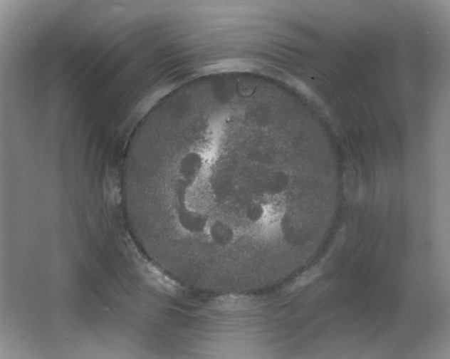 X0000066970929200603241206