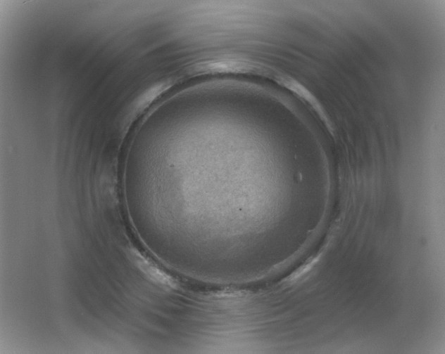 X0000066970930200603241206