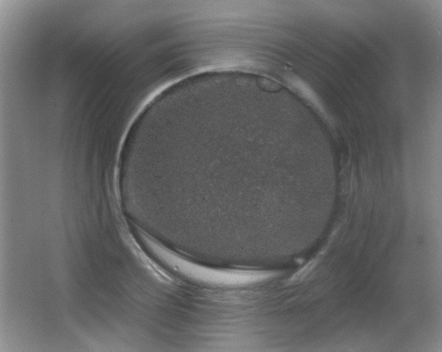 X0000066970932200603241207