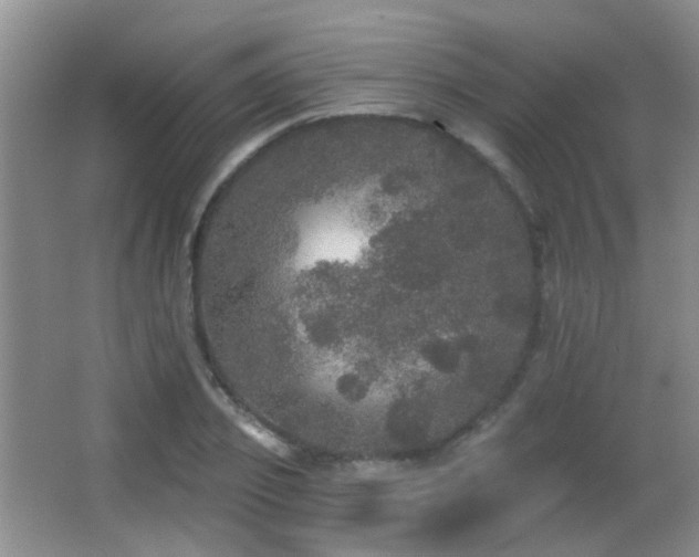 X0000066970933200603241207