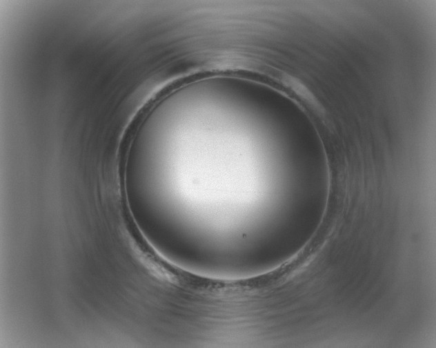 X0000066970934200603241207