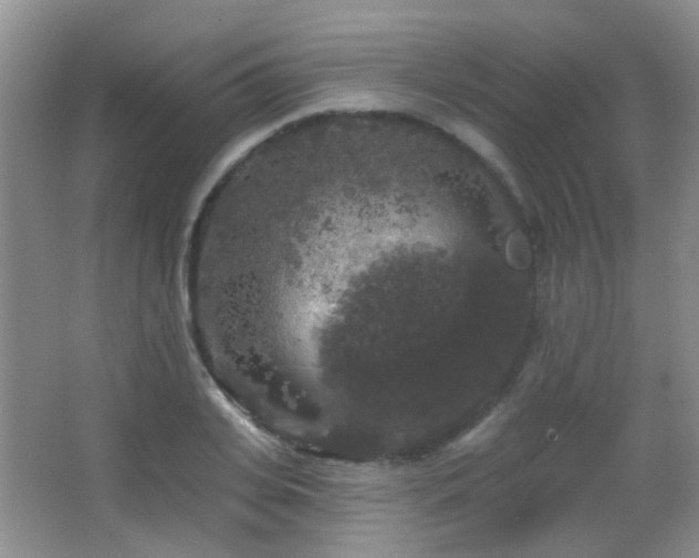 X0000066970935200603241207