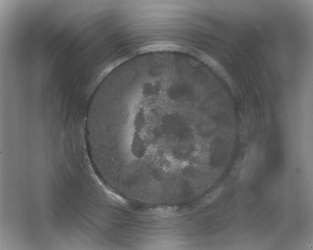 X0000066970937200603241207