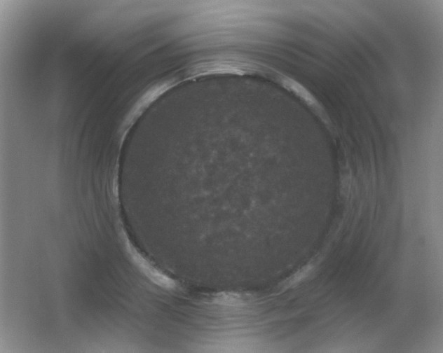 X0000066970938200603241207