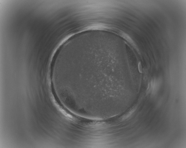 X0000066970939200603241207