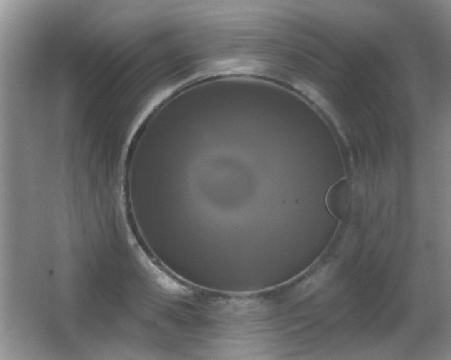 X0000066970941200603241207