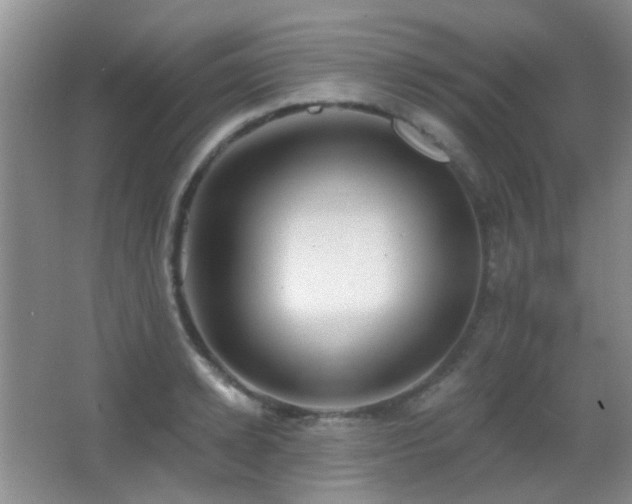 X0000066970942200603241207