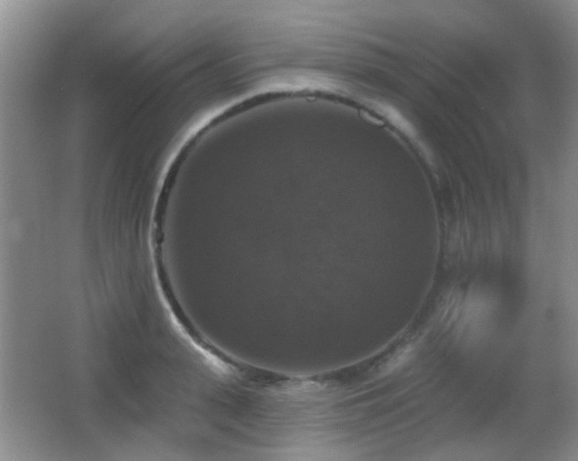 X0000066970943200603241207