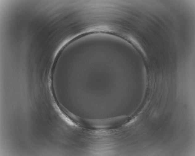 X0000066970944200603241207