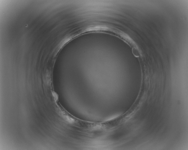 X0000066970945200603241207