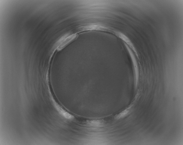 X0000066970946200603241207