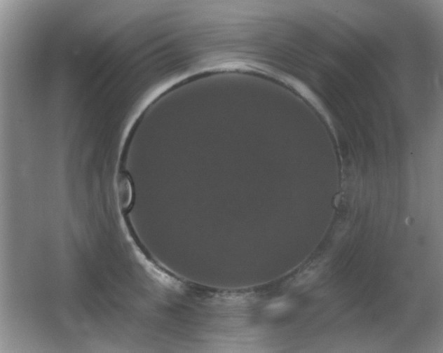 X0000066970951200603241207