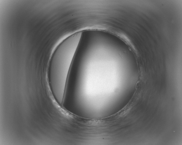 X0000066970952200603241207