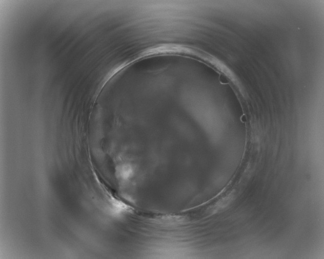 X0000066970953200603241207