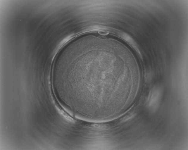 X0000066970954200603241207