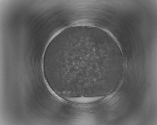 X0000066970957200603241207