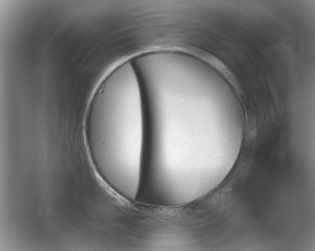 X0000066970958200603241207