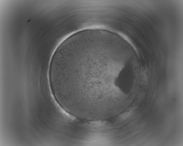 X0000066970959200603241207