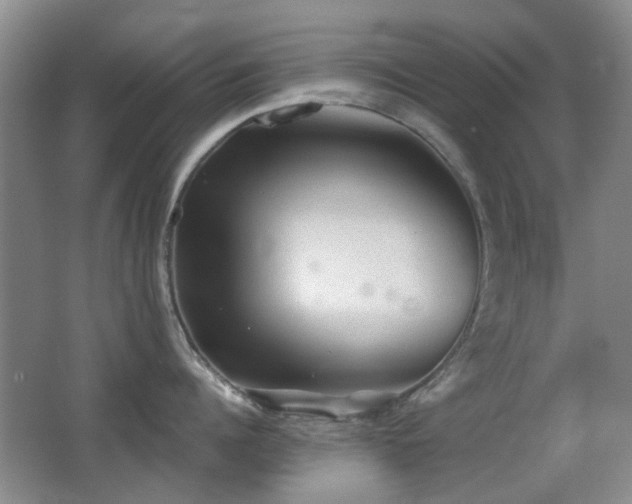 X0000066970960200603241207