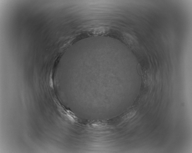 X0000066970962200603241206