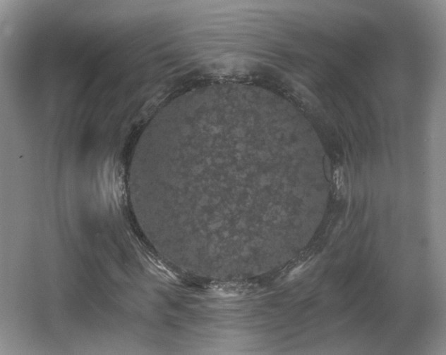 X0000066970963200603241206