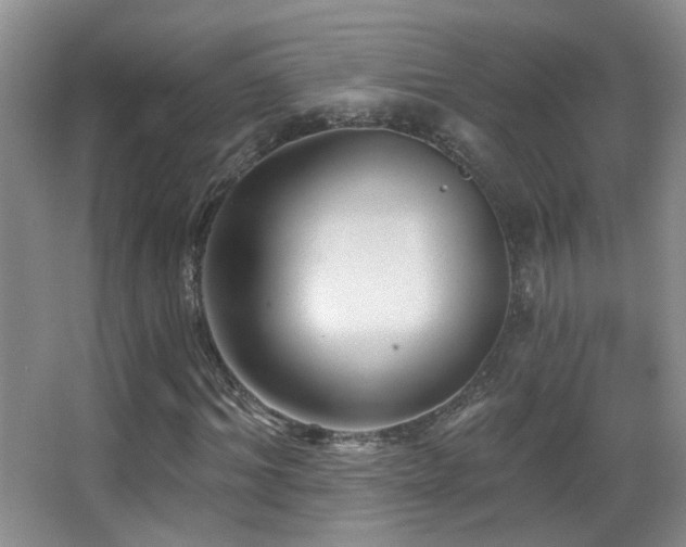 X0000066970964200603241206