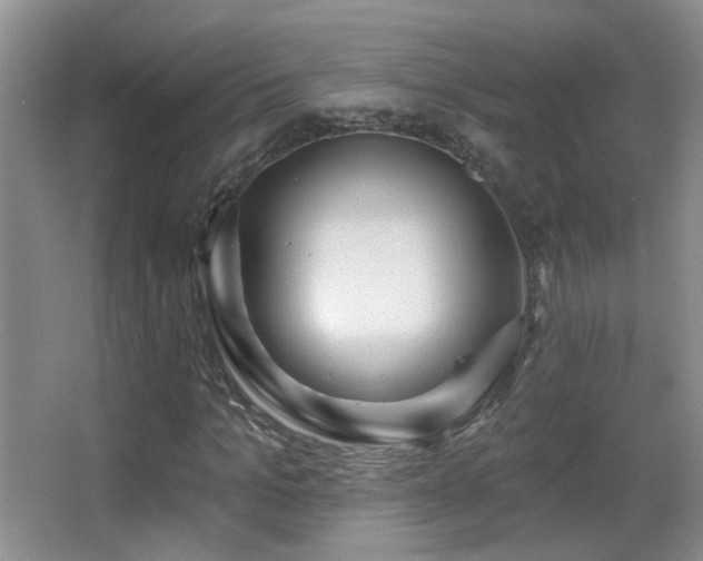 X0000066970965200603241206