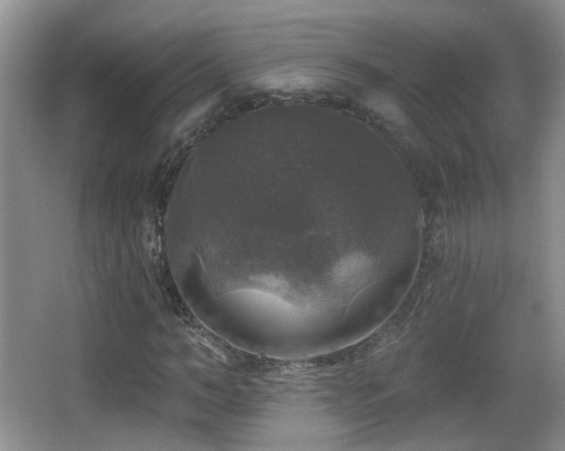 X0000066970966200603241206