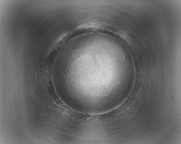 X0000066970967200603241206