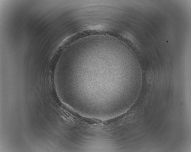 X0000066970968200603241206