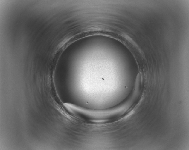 X0000066970969200603241206